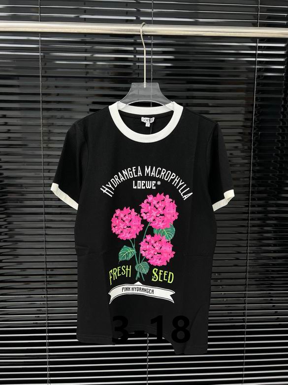 Loewe S-XL  (91)